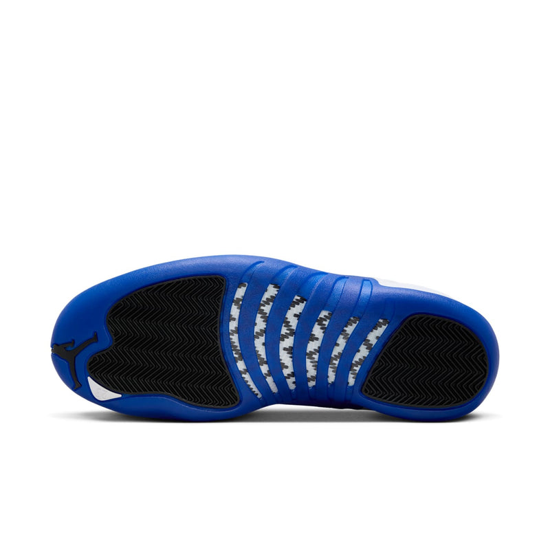 Air Jordan 12 'Blueberry' CT8013-140