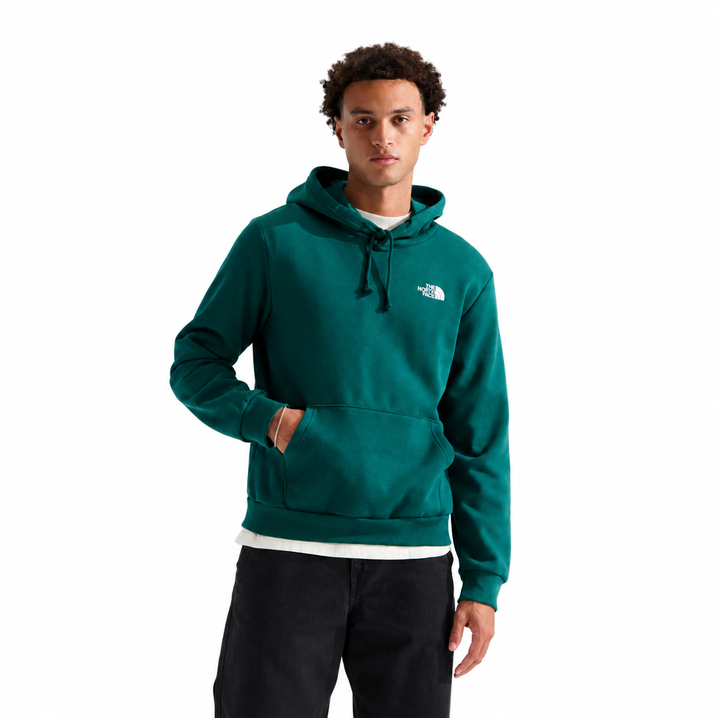 TNF Evolution Box NSE Regular Hoodie